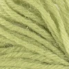 Ullgarn Appleton tapestry 4-trådigt 10m 543 English green