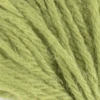 Ullgarn Appleton tapestry 4-trådigt 10m 544 English green